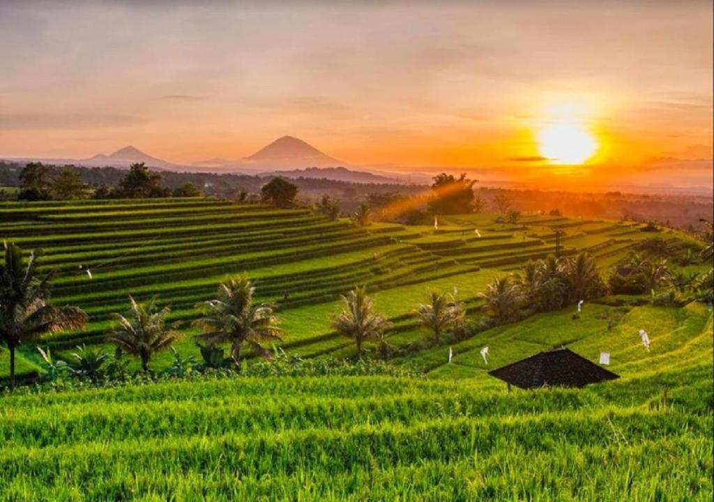 SelemadegLuxenomads Tanah Lot Oceanview Escape别墅 外观 照片