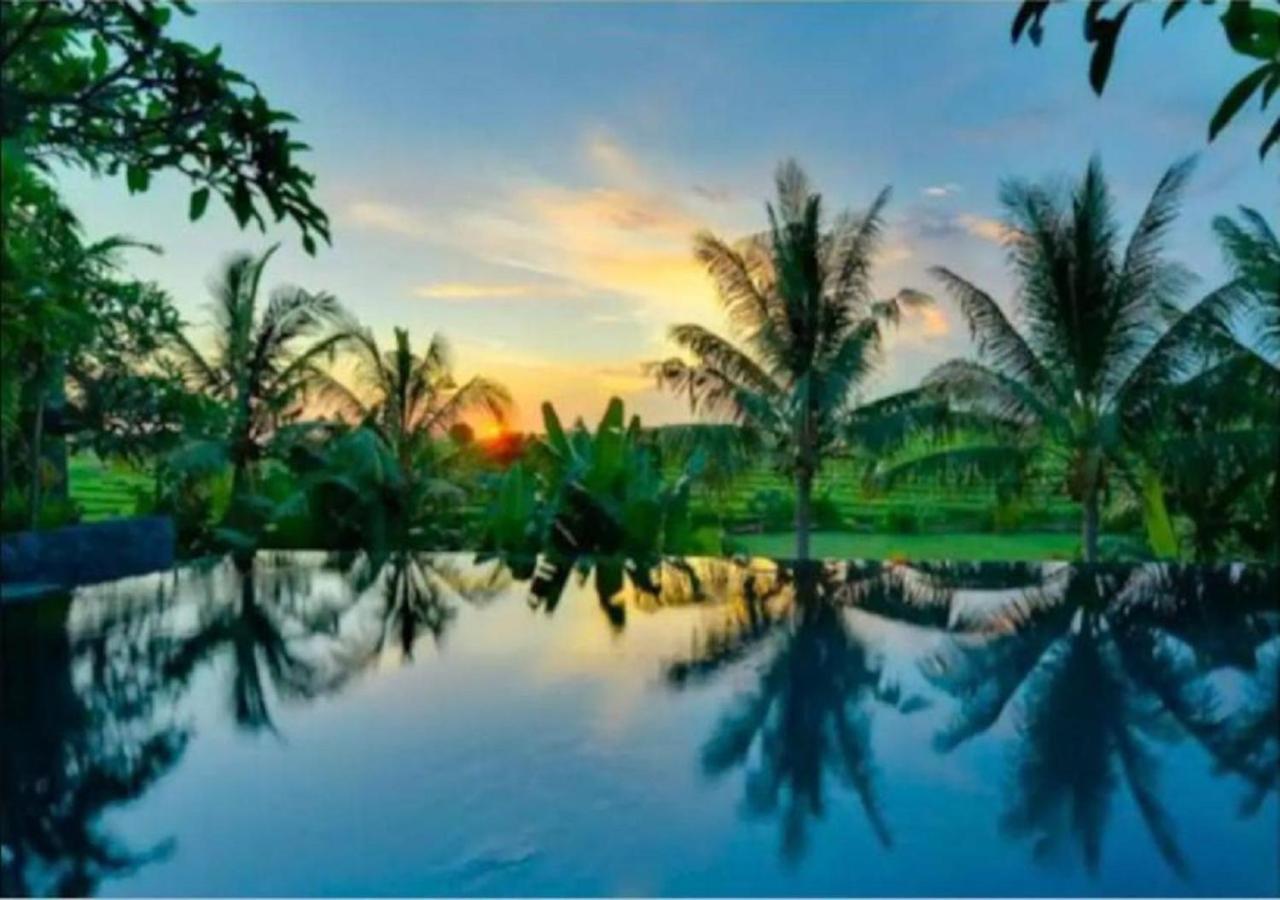 SelemadegLuxenomads Tanah Lot Oceanview Escape别墅 外观 照片